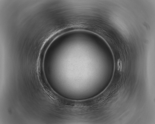 X0000115610388200911101431