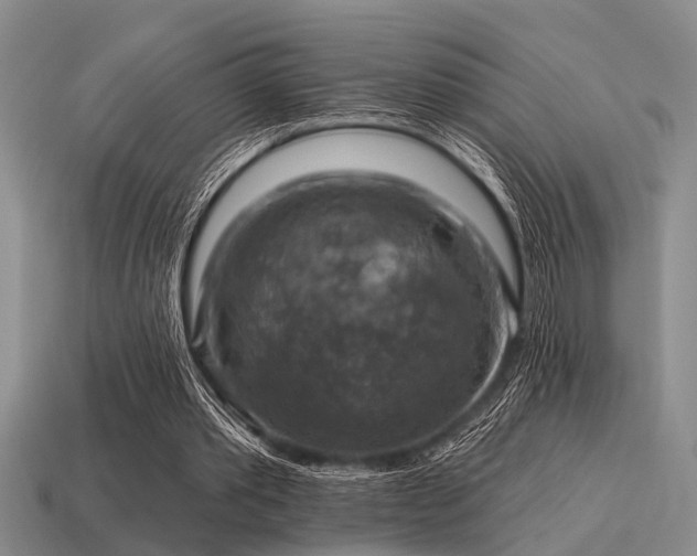 X0000115610389200911101431