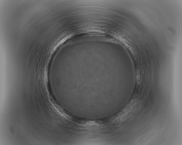 X0000115610390200911101431