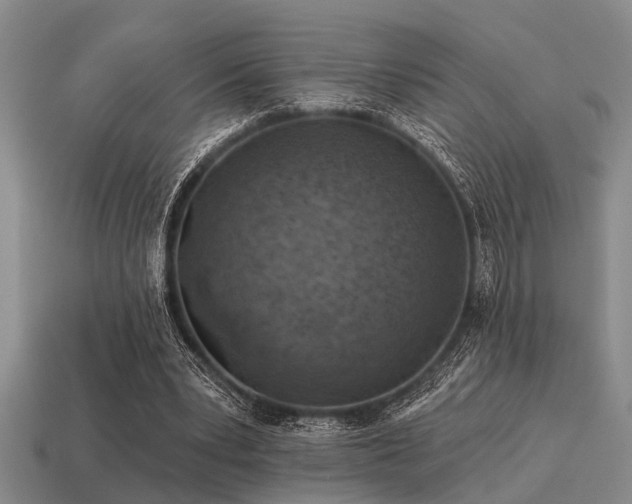X0000115610391200911101431
