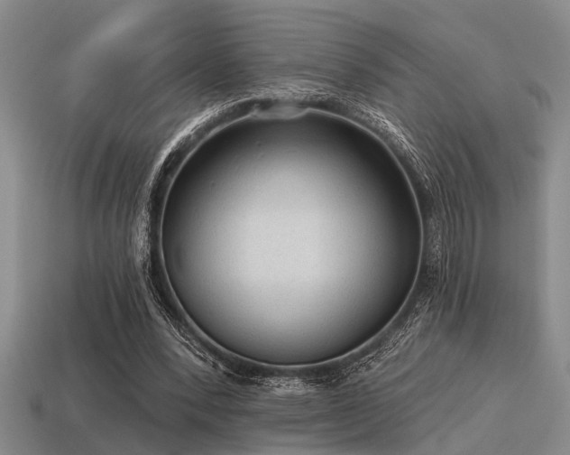 X0000115610392200911101431
