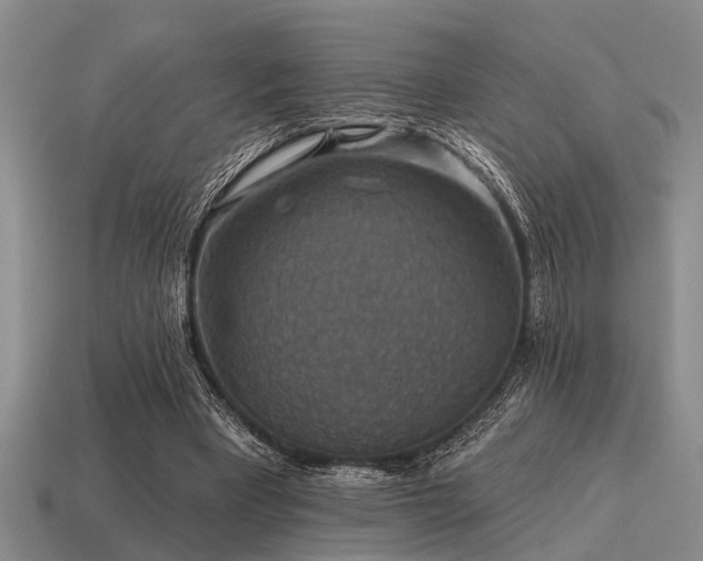 X0000115610393200911101431