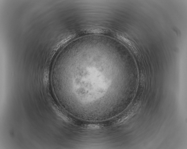 X0000115610394200911101431