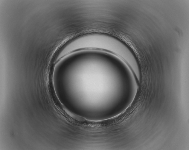 X0000115610395200911101431