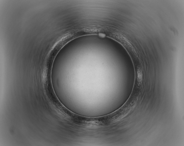 X0000115610396200911101431