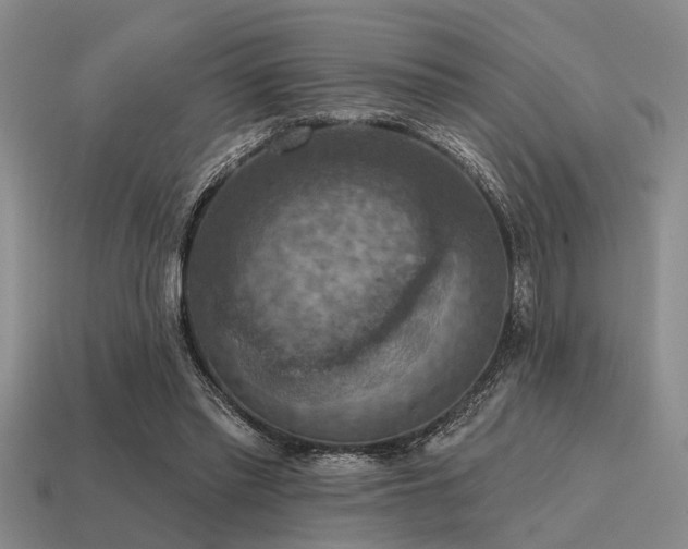 X0000115610397200911101431