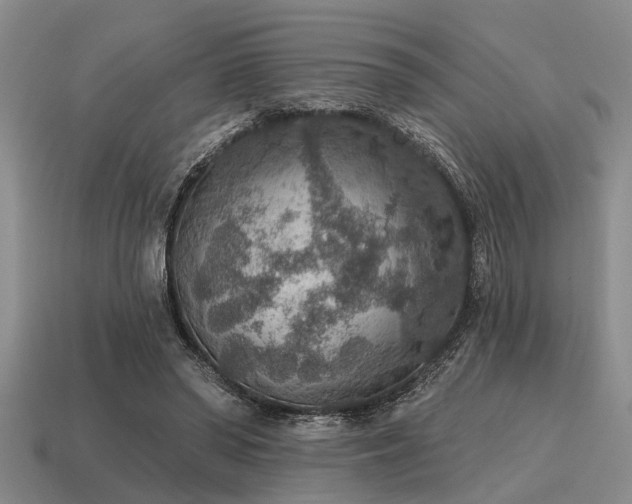 X0000115610398200911101431