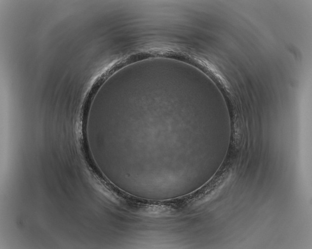 X0000115610399200911101431
