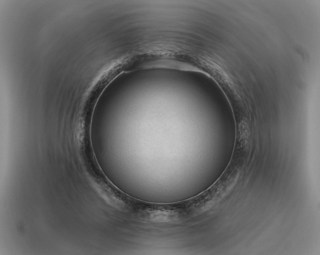 X0000115610400200911101431