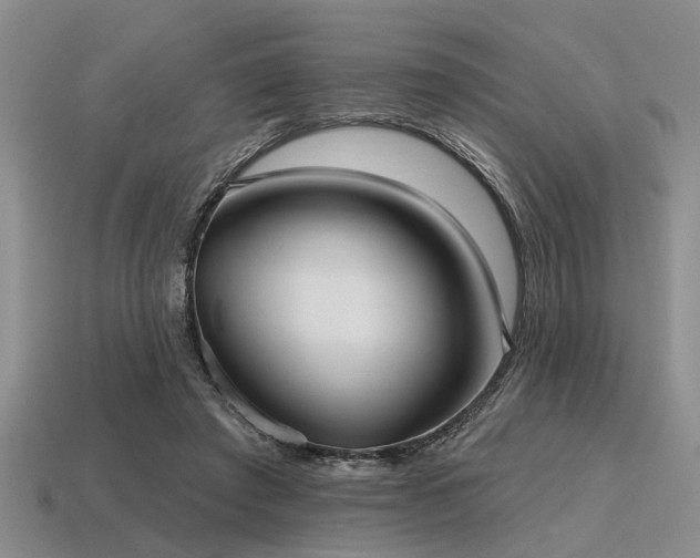 X0000115610401200911101431