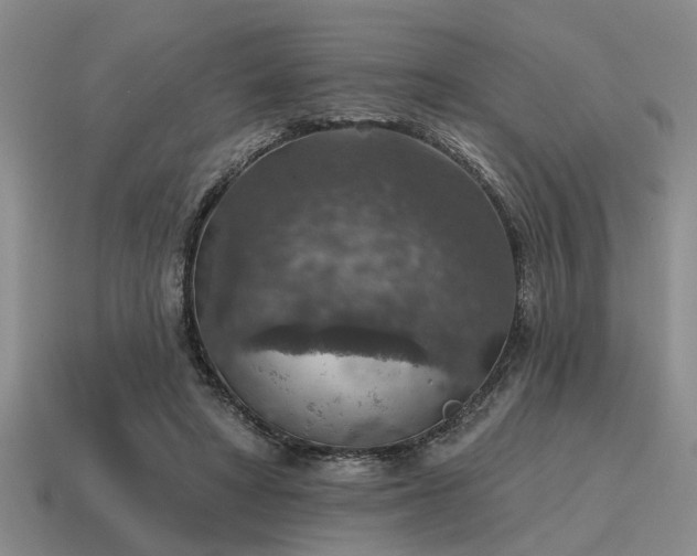 X0000115610402200911101431