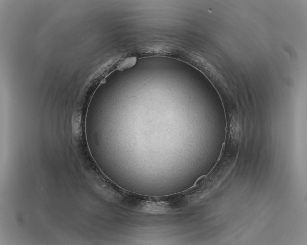 X0000115610403200911101431