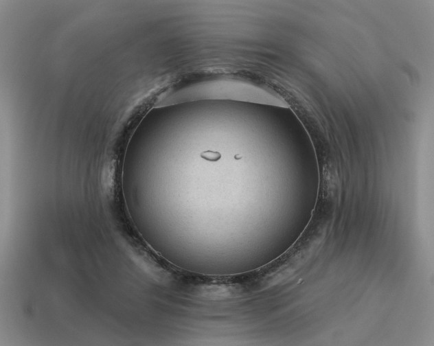 X0000115610404200911101431
