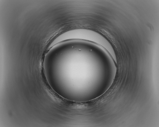 X0000115610405200911101431