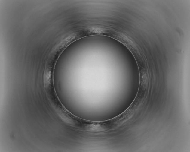 X0000115610406200911101431