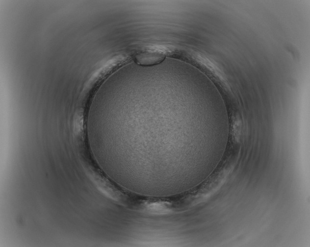 X0000115610407200911101431