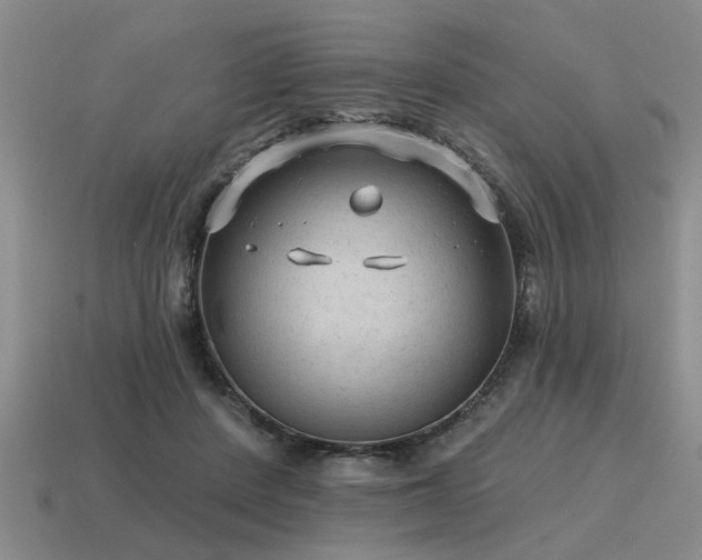 X0000115610408200911101431