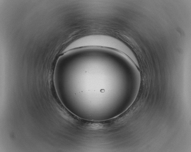 X0000115610409200911101431