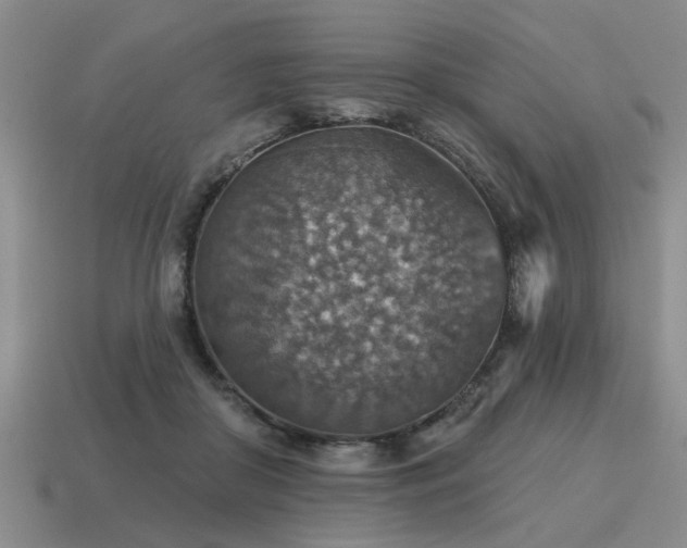 X0000115610410200911101431
