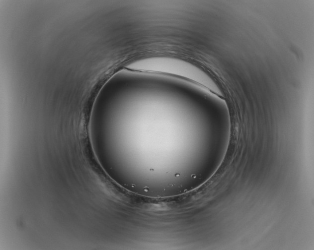 X0000115610411200911101431