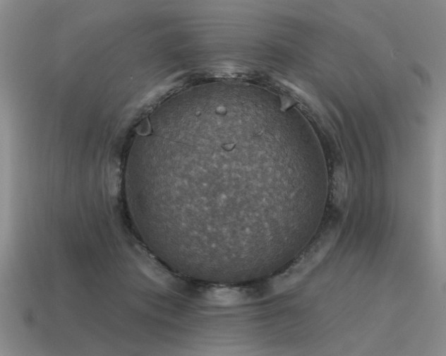 X0000115610413200911101431