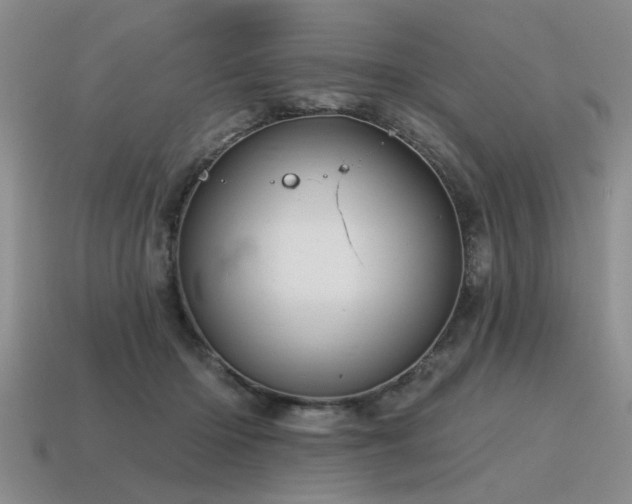 X0000115610414200911101431
