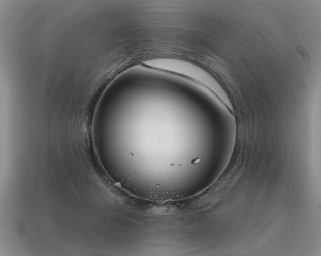 X0000115610415200911101431