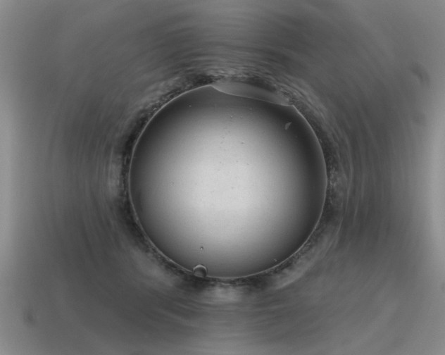 X0000115610416200911101431