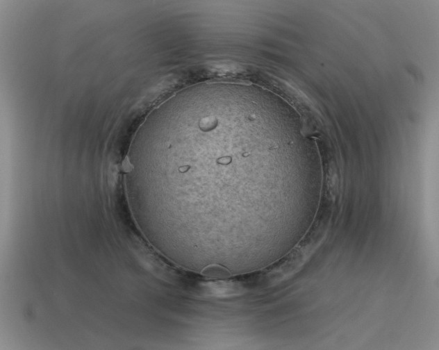 X0000115610417200911101431