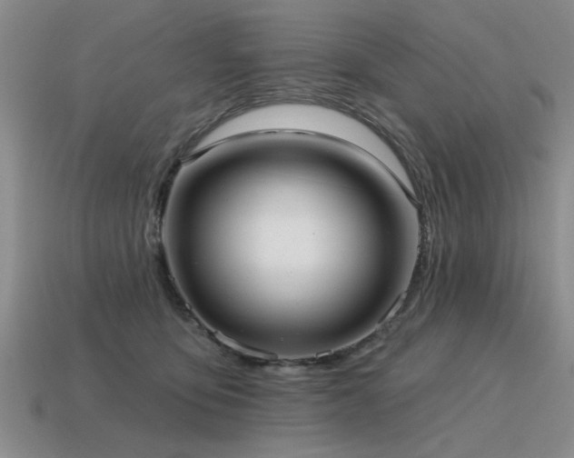 X0000115610419200911101431
