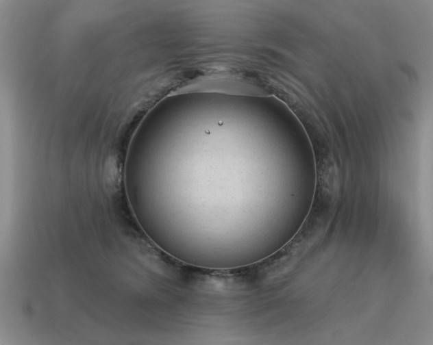 X0000115610420200911101431