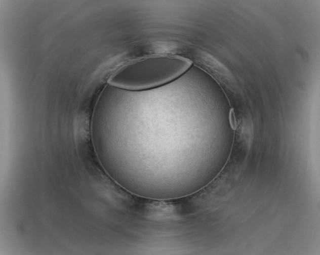 X0000115610421200911101431