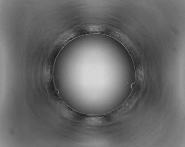 X0000115610422200911101431