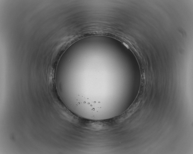 X0000115610423200911101431