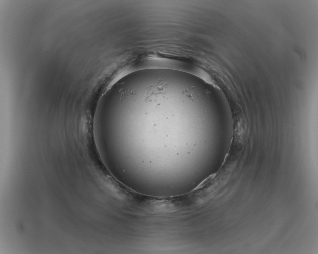 X0000115610424200911101431
