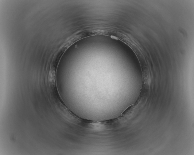 X0000115610425200911101431