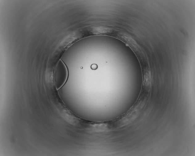 X0000115610426200911101431