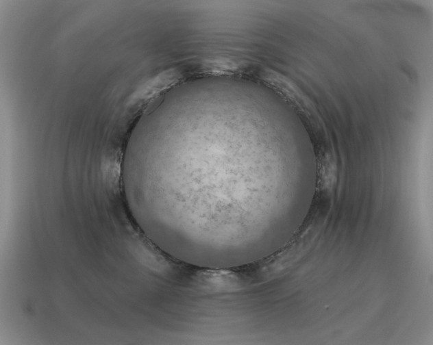 X0000115610427200911101431
