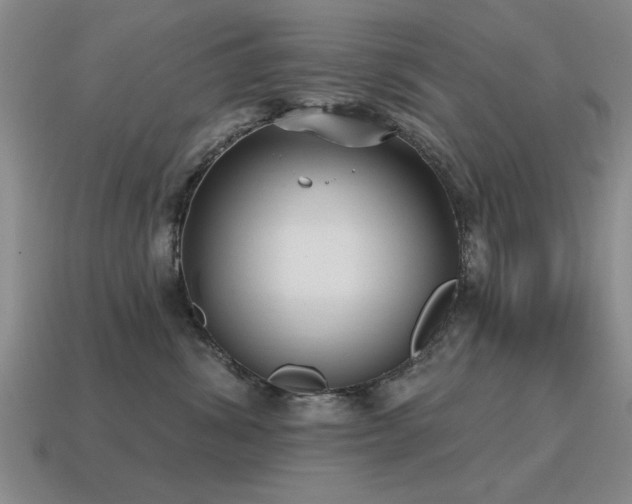 X0000115610428200911101431