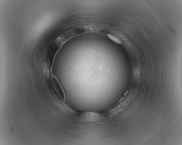 X0000115610429200911101431