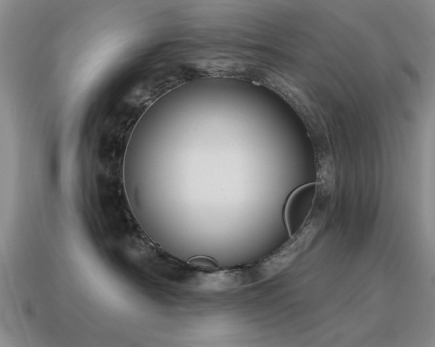 X0000115610430200911101431