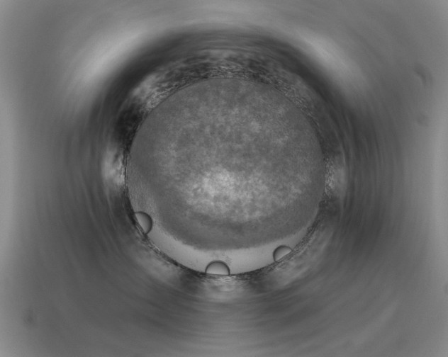 X0000115610431200911101431