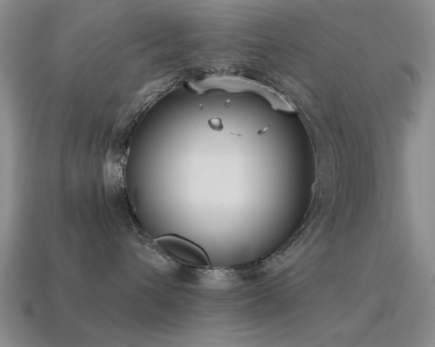 X0000115610432200911101431