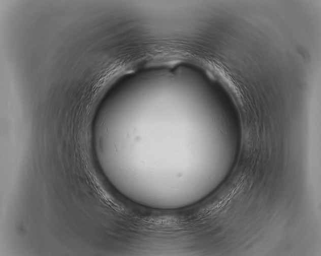 X0000115610433200911101430