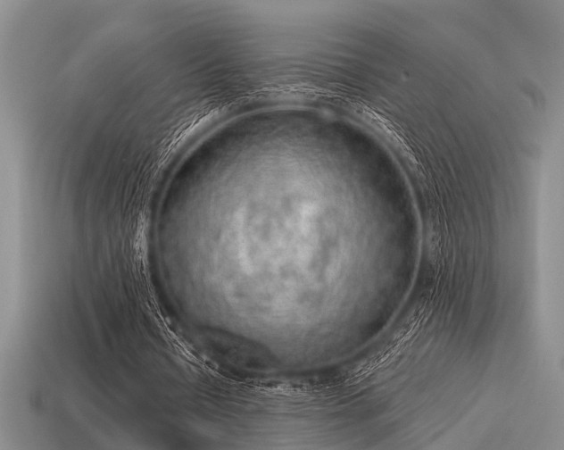 X0000115610434200911101430