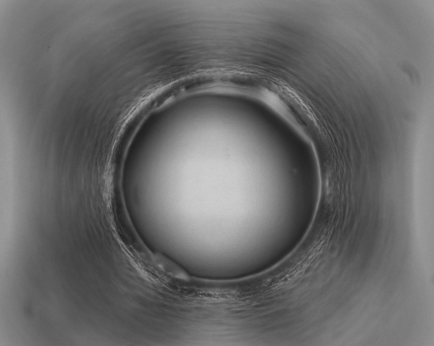 X0000115610436200911101430