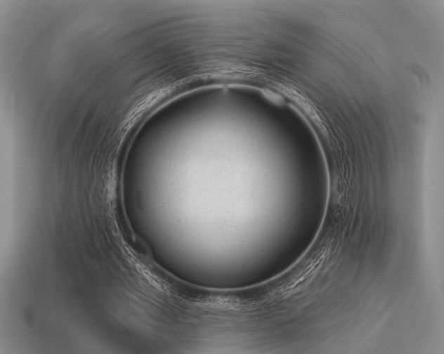 X0000115610437200911101430