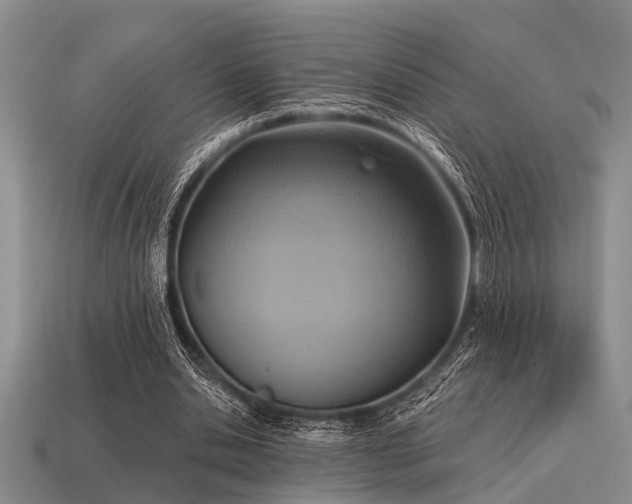 X0000115610438200911101430