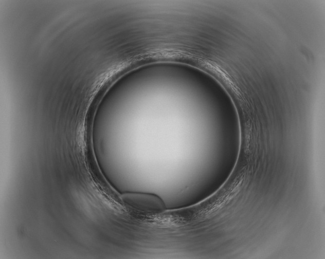 X0000115610439200911101430