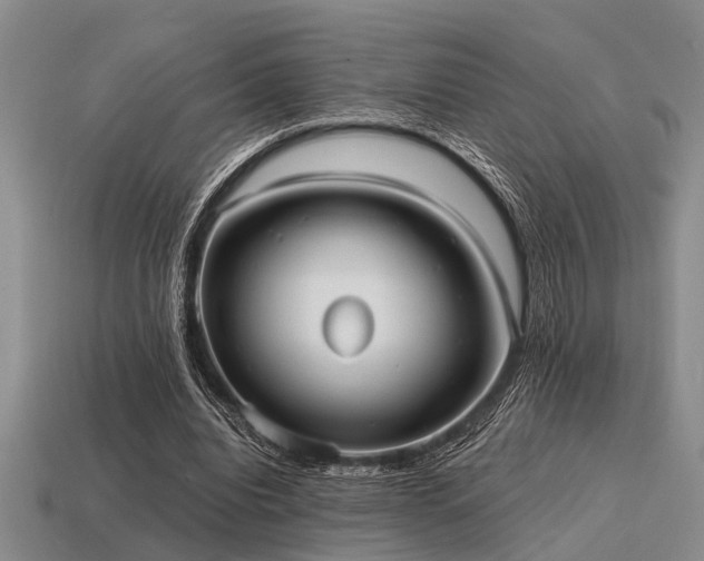 X0000115610440200911101430